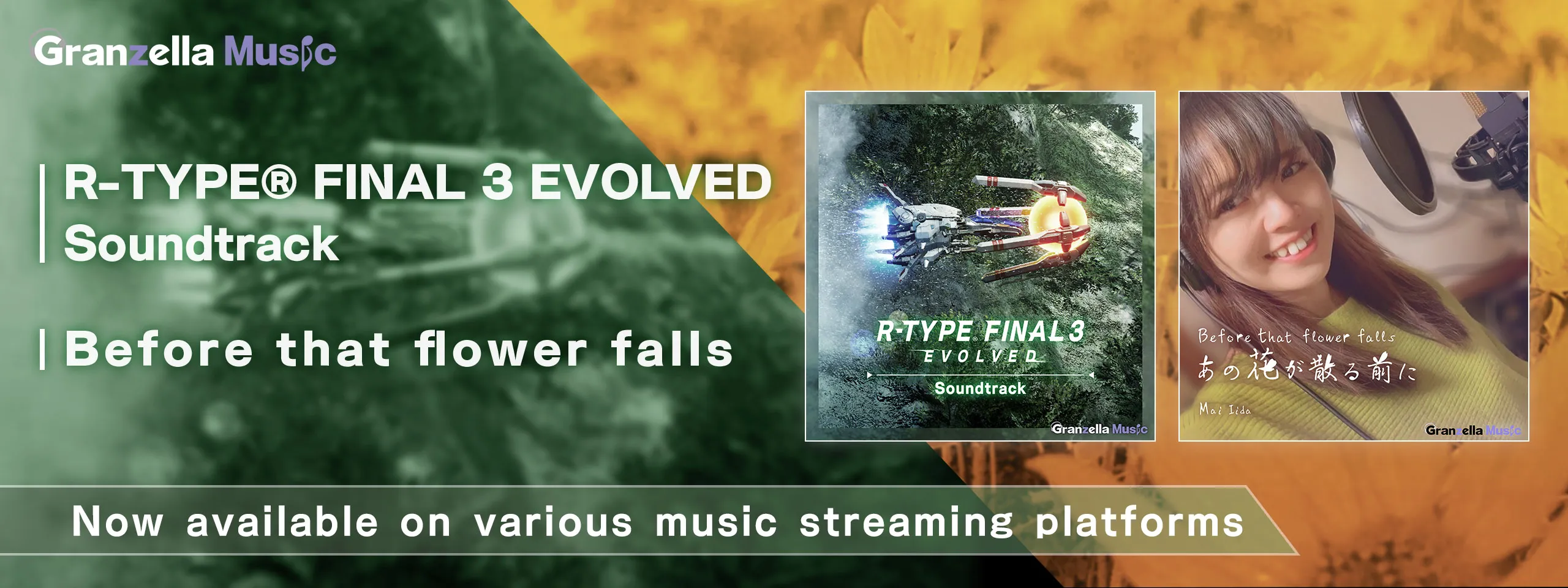 R-TYPE FINAL3 EVOLVED Soundtrack Before that flower falls